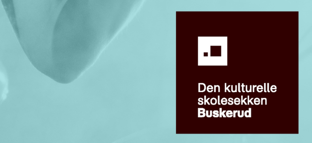 Logo DKS