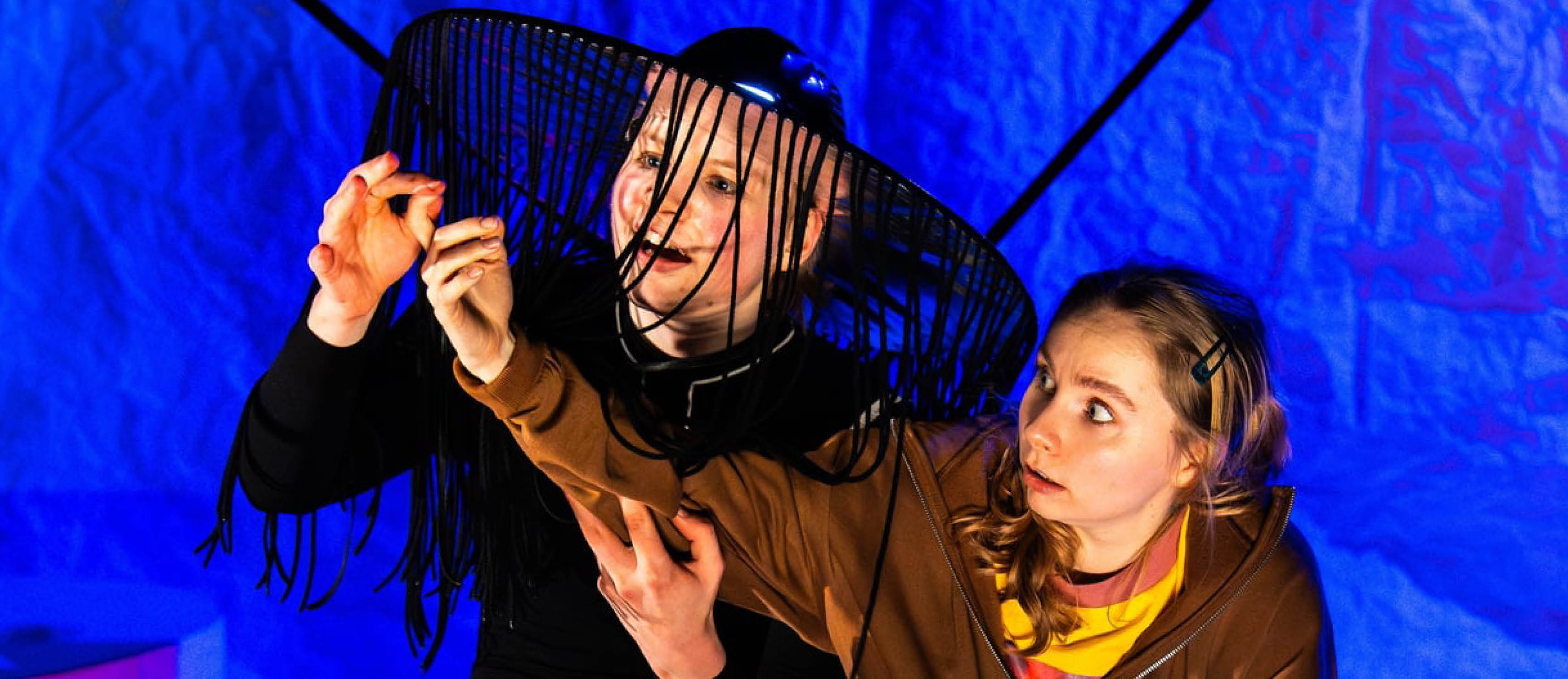 Illustrasjonsbilde Haiens år